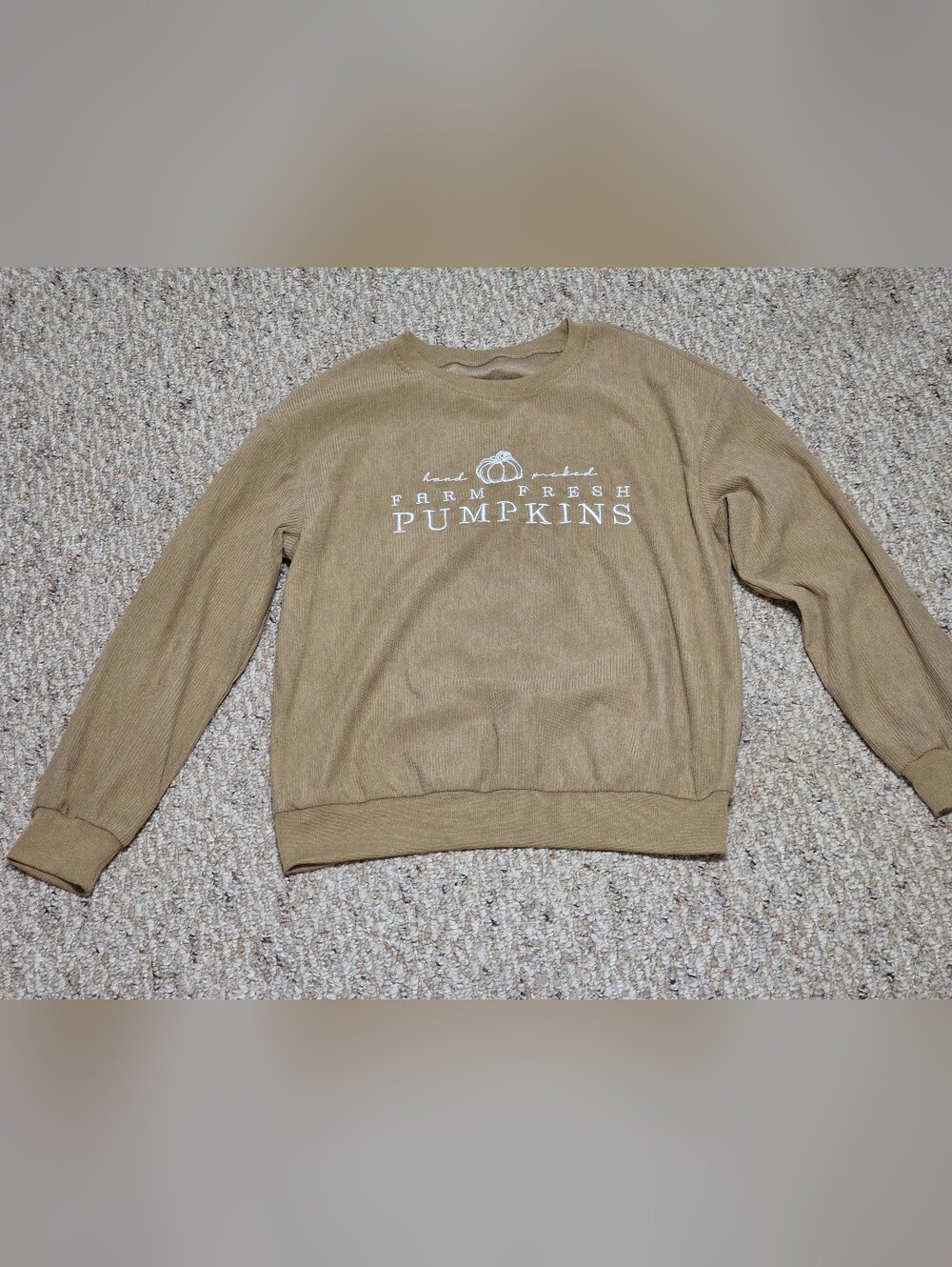 SHEIN Tan 'Farm Fresh Pumpkins' Crewneck Sweater